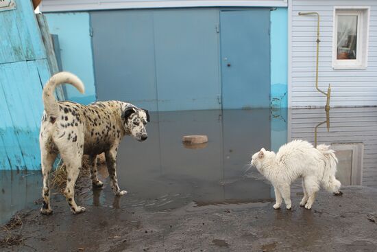 Residents evacuated from flood zone in Saransk