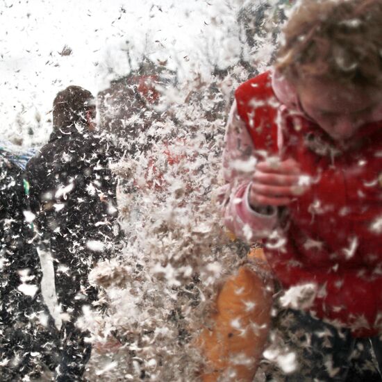 Pillow Fight