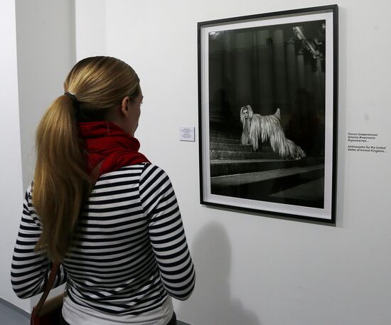 Opening of Fashion and Style in Photography 2013 festival