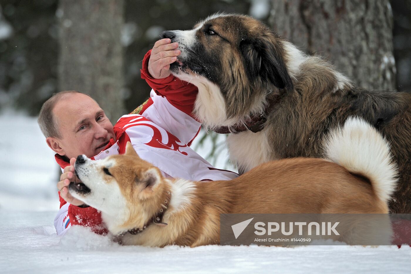 Vladimir Putin walks his dogs in Moscow Region