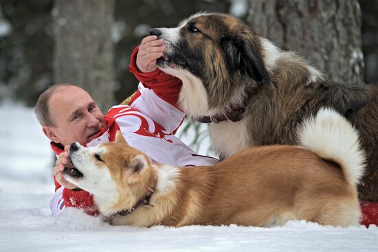 Vladimir Putin walks his dogs in Moscow Region