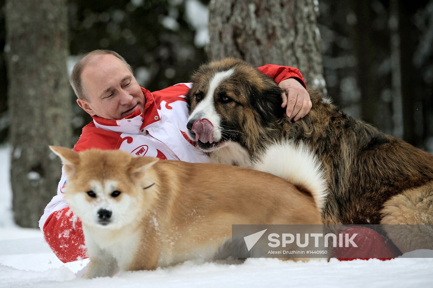 Vladimir Putin walks his dogs in Moscow Region