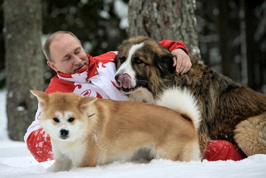 Vladimir Putin walks his dogs in Moscow Region