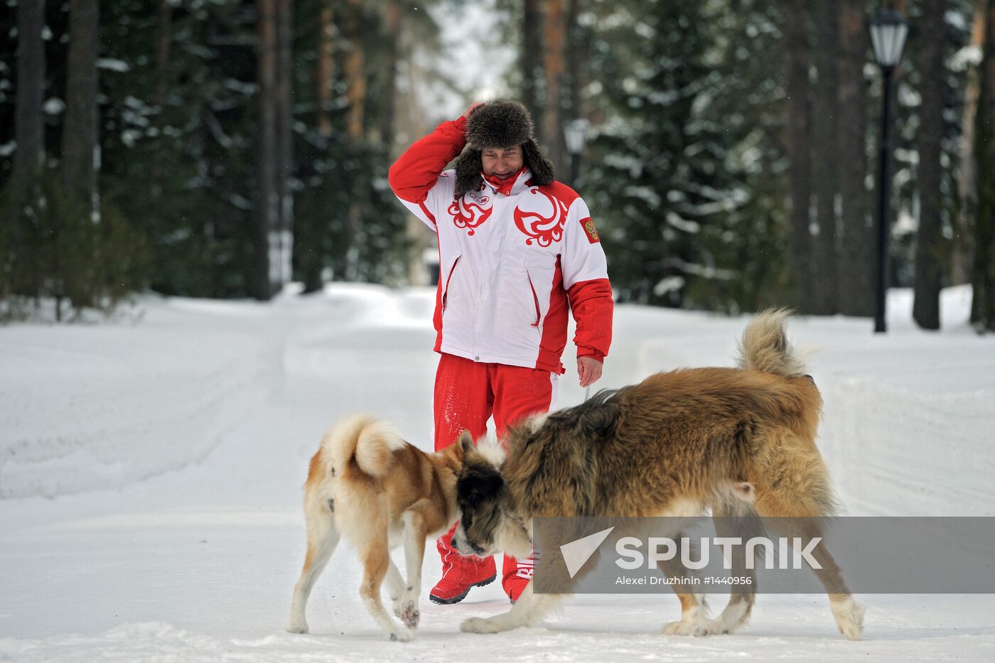 Vladimir Putin walks his dogs in Moscow Region
