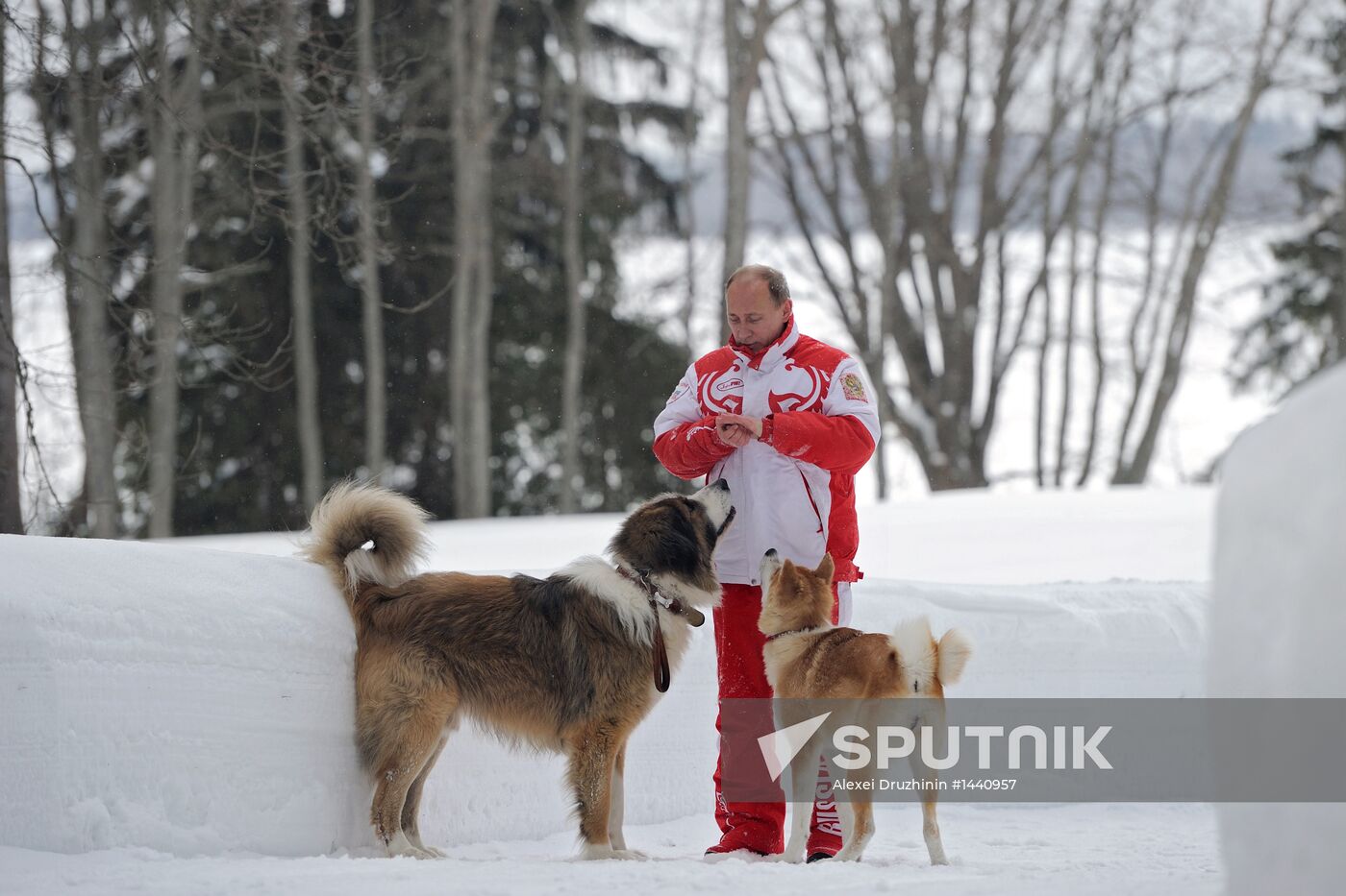 Vladimir Putin walks his dogs in Moscow Region