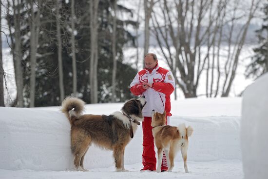 Vladimir Putin walks his dogs in Moscow Region