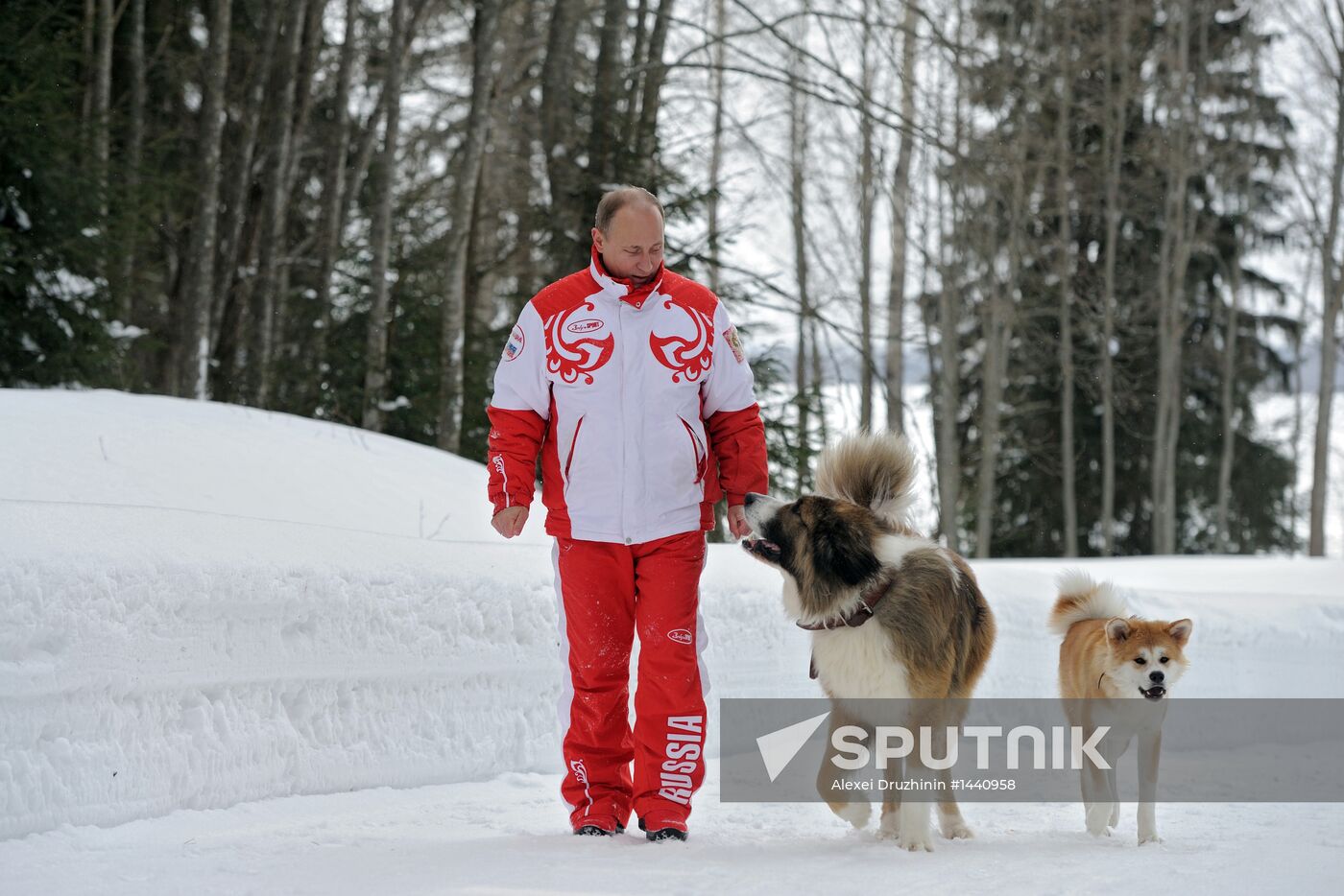 Vladimir Putin walks his dogs in Moscow Region