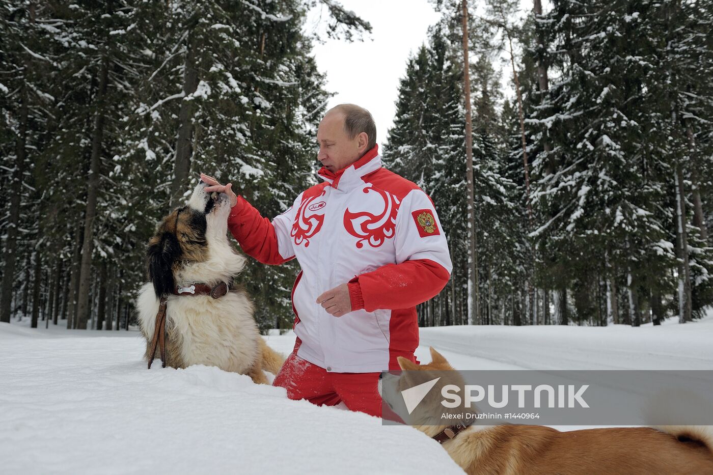 Vladimir Putin walks his dogs in Moscow Region