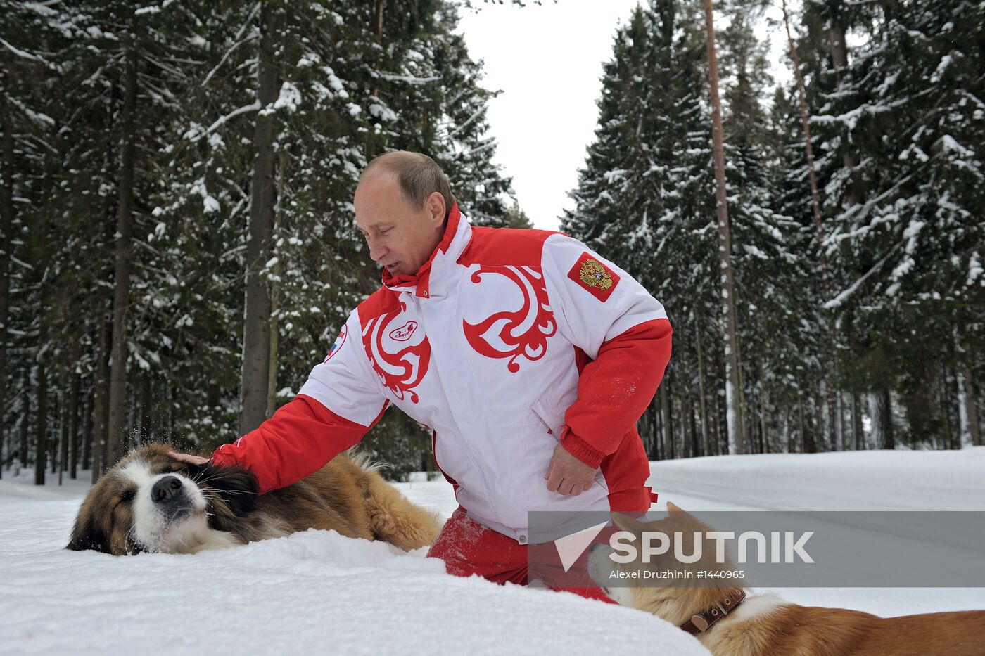Vladimir Putin walks his dogs in Moscow Region