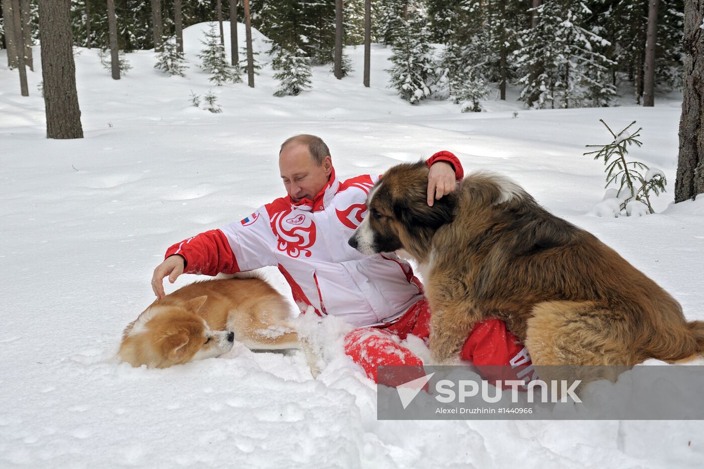 Vladimir Putin walks his dogs in Moscow Region
