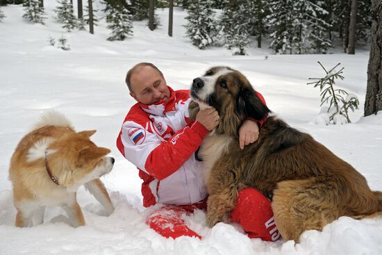 Vladimir Putin walks his dogs in Moscow Region