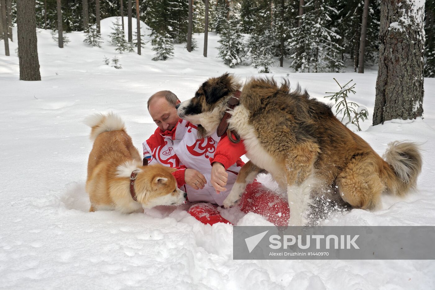Vladimir Putin walks his dogs in Moscow Region