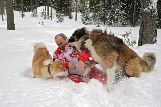 Vladimir Putin walks his dogs in Moscow Region