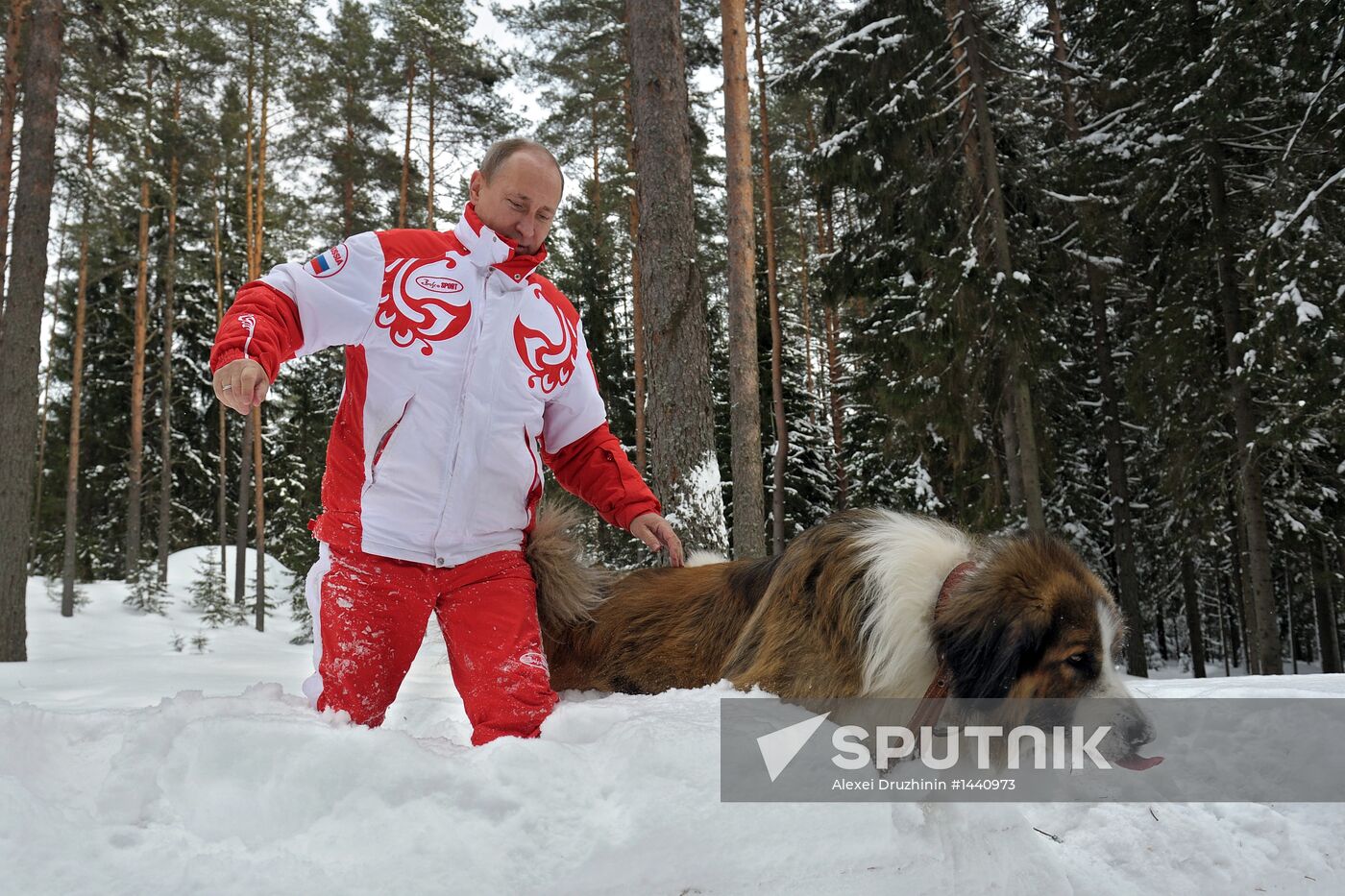 Vladimir Putin walks his dogs in Moscow Region