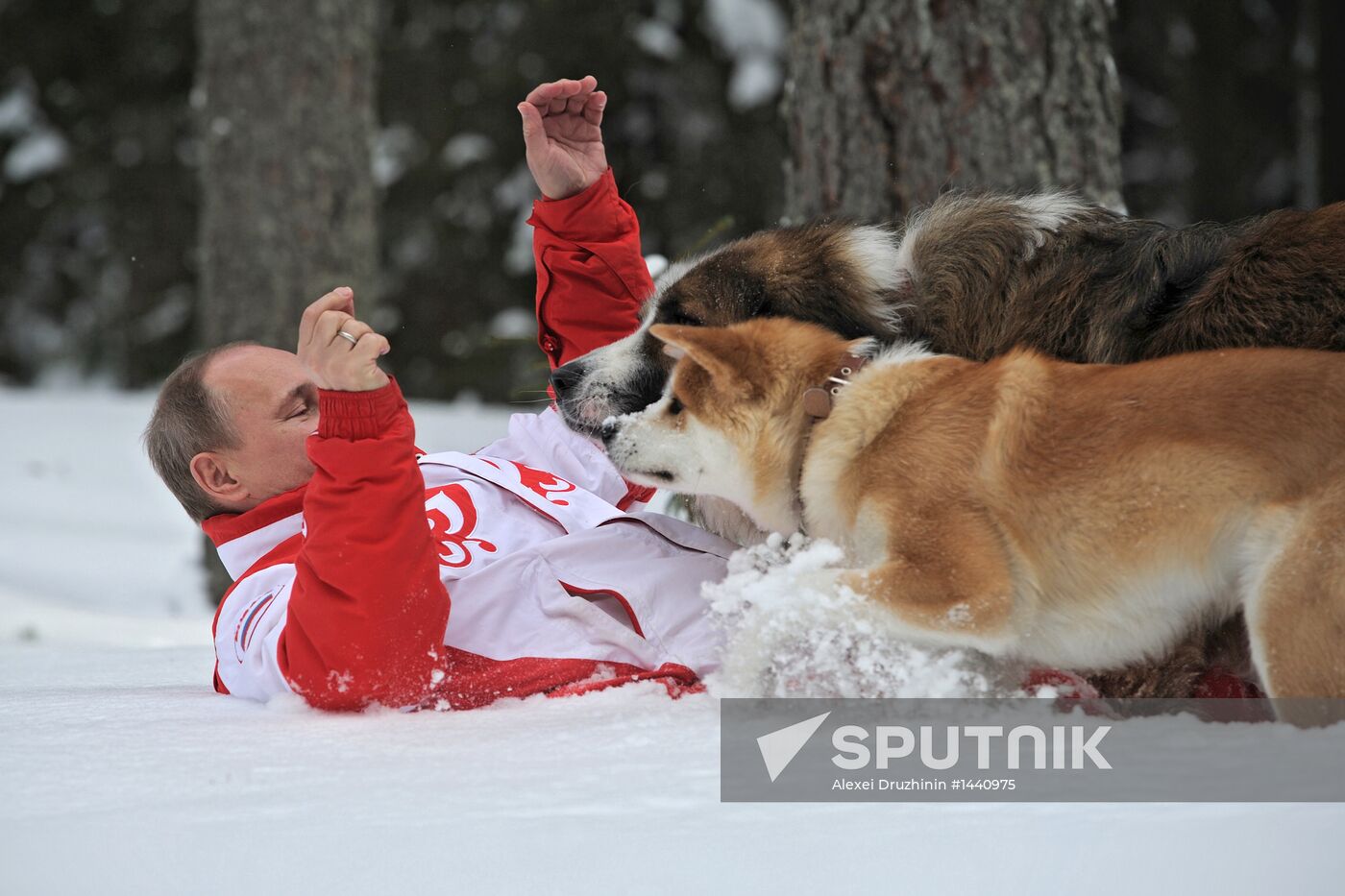 Vladimir Putin walks his dogs in Moscow Region