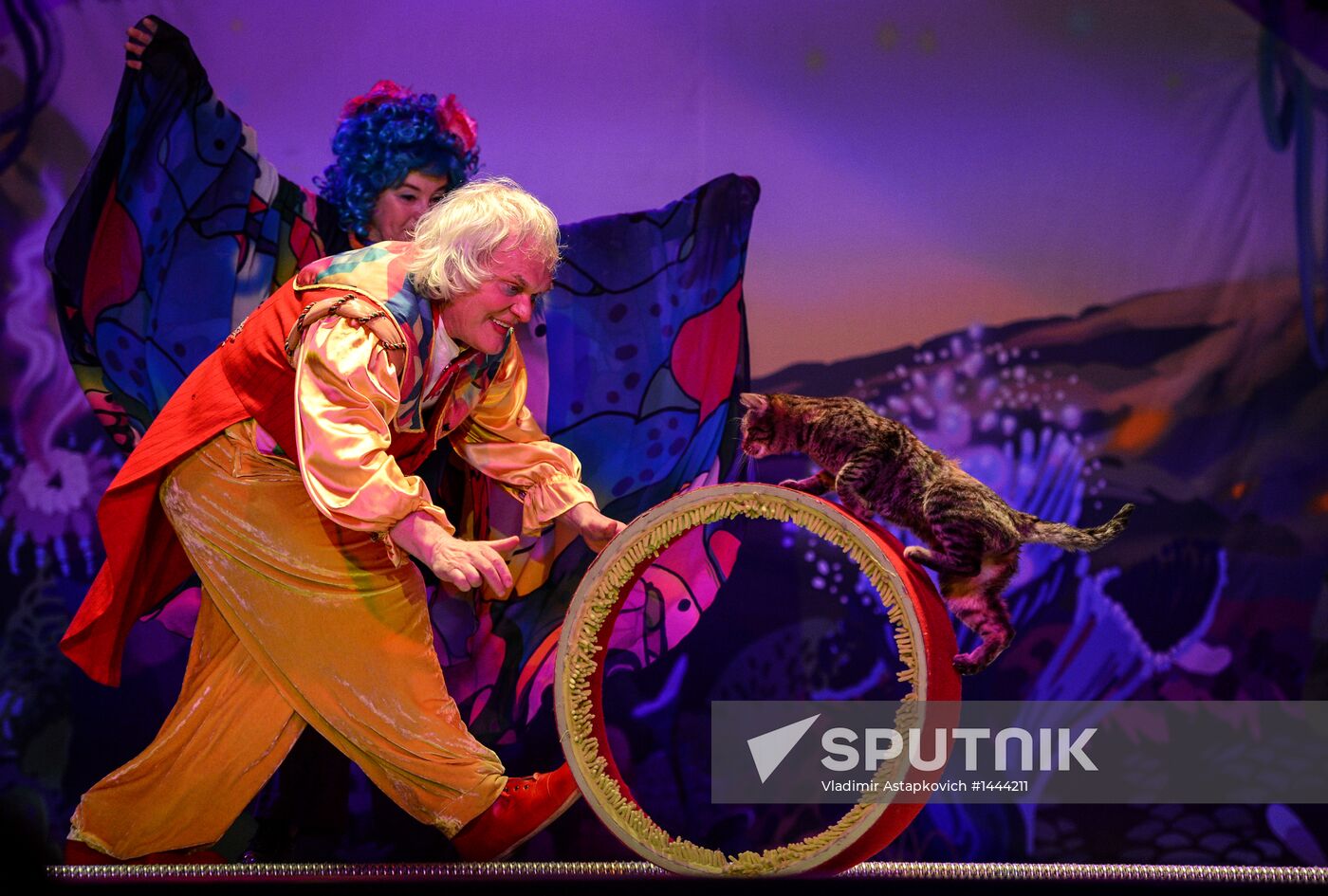 Moscow's Cat Theater reopens after renovation