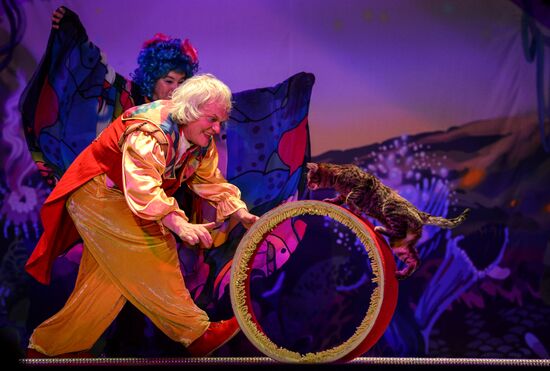 Moscow's Cat Theater reopens after renovation