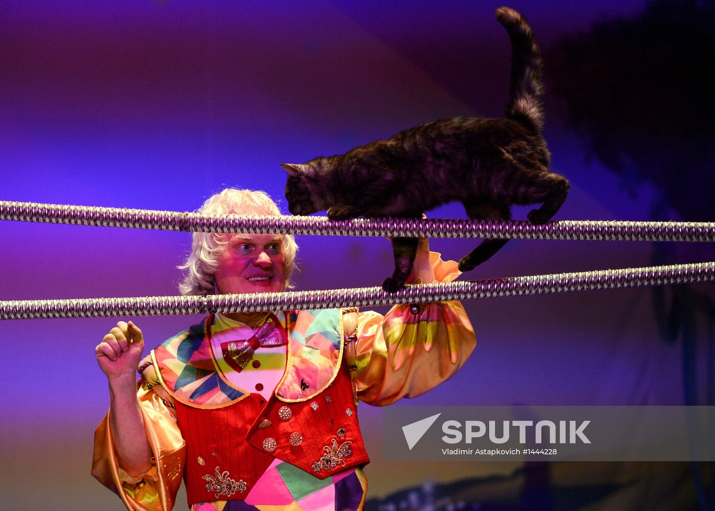 Moscow's Cat Theater reopens after renovation