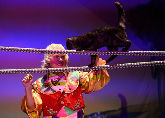 Moscow's Cat Theater reopens after renovation