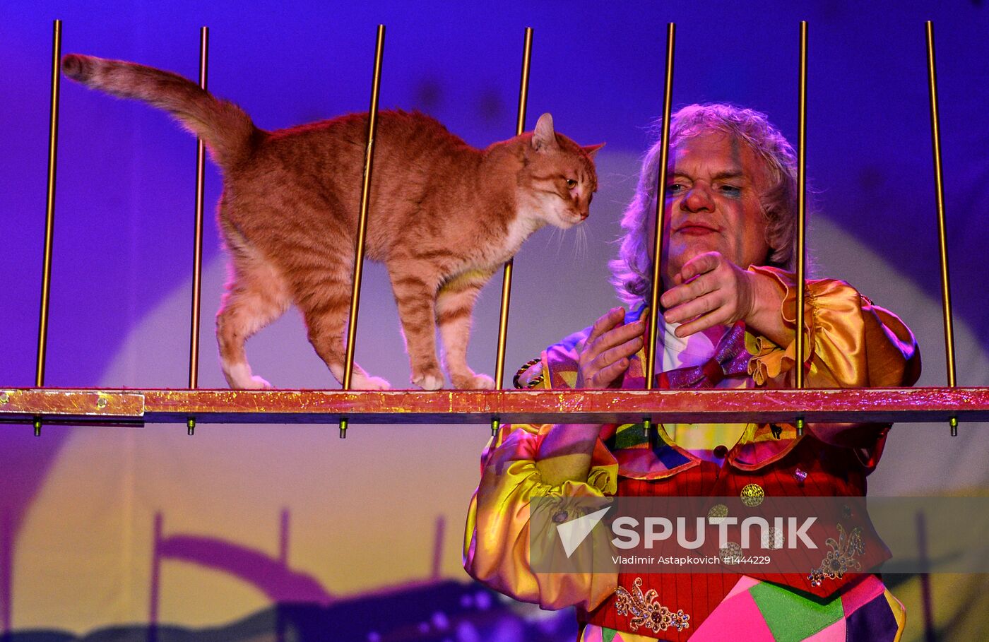Moscow's Cat Theater reopens after renovation