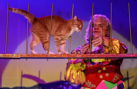 Moscow's Cat Theater reopens after renovation