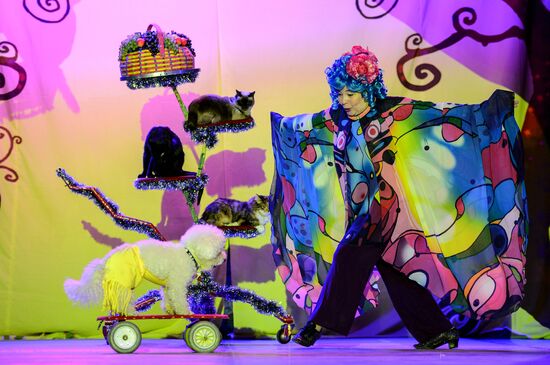 Moscow's Cat Theater reopens after renovation
