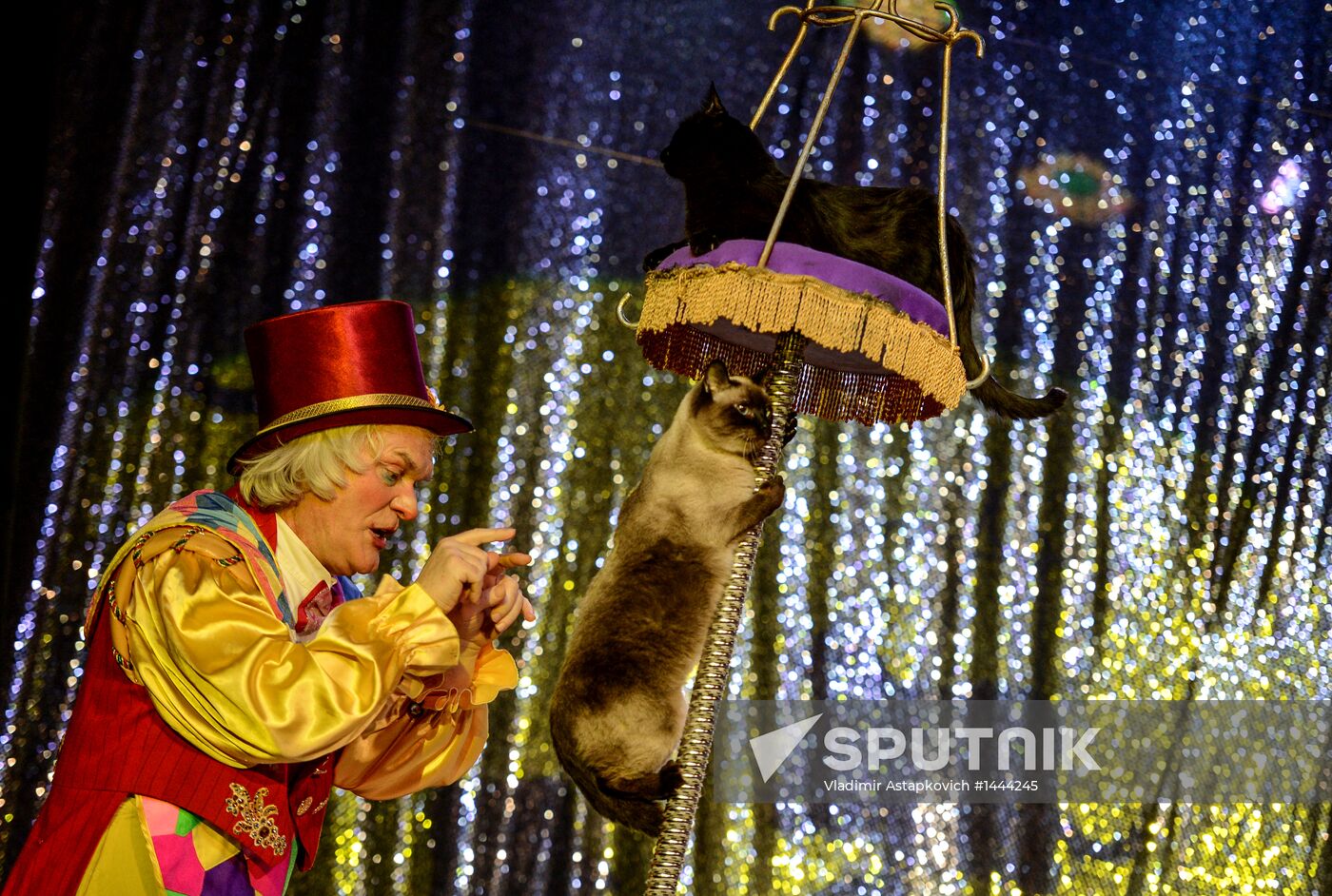 Moscow's Cat Theater reopens after renovation