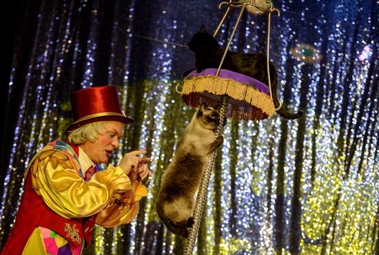 Moscow's Cat Theater reopens after renovation