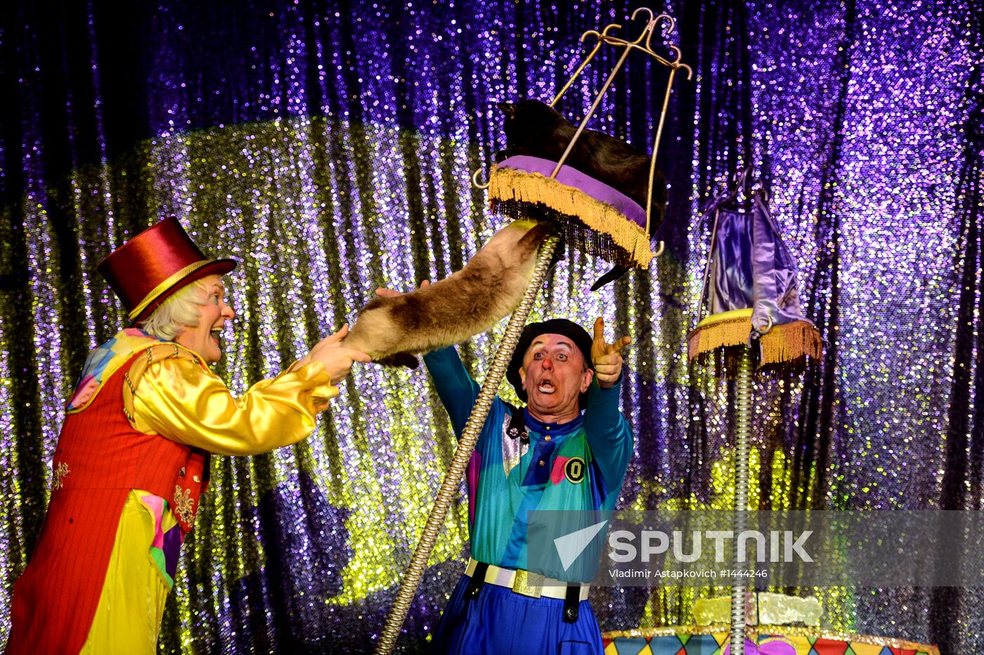 Moscow's Cat Theater reopens after renovation
