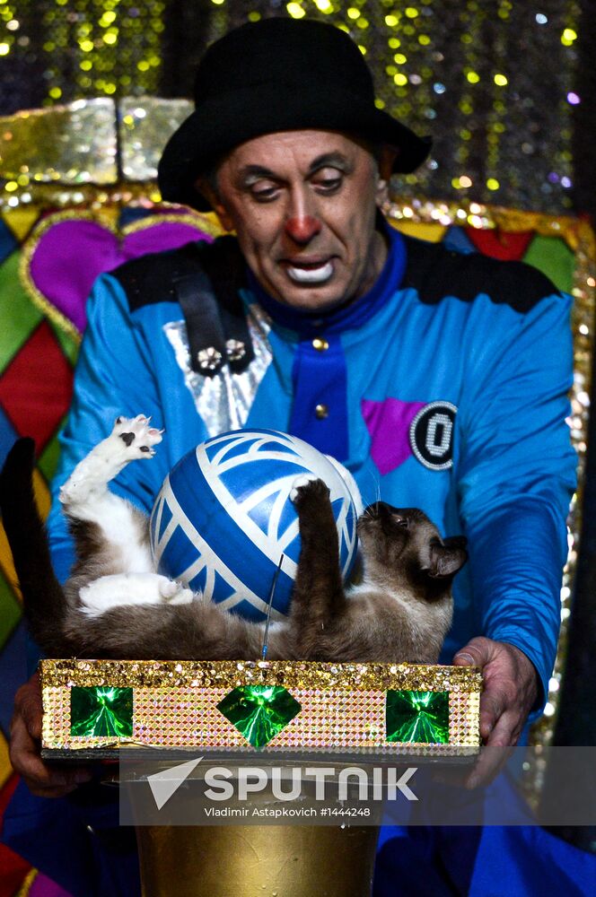 Moscow's Cat Theater reopens after renovation