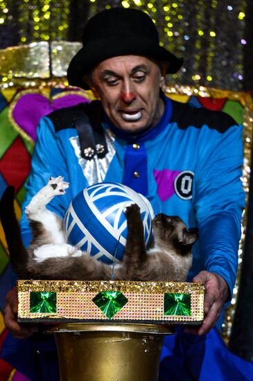 Moscow's Cat Theater reopens after renovation