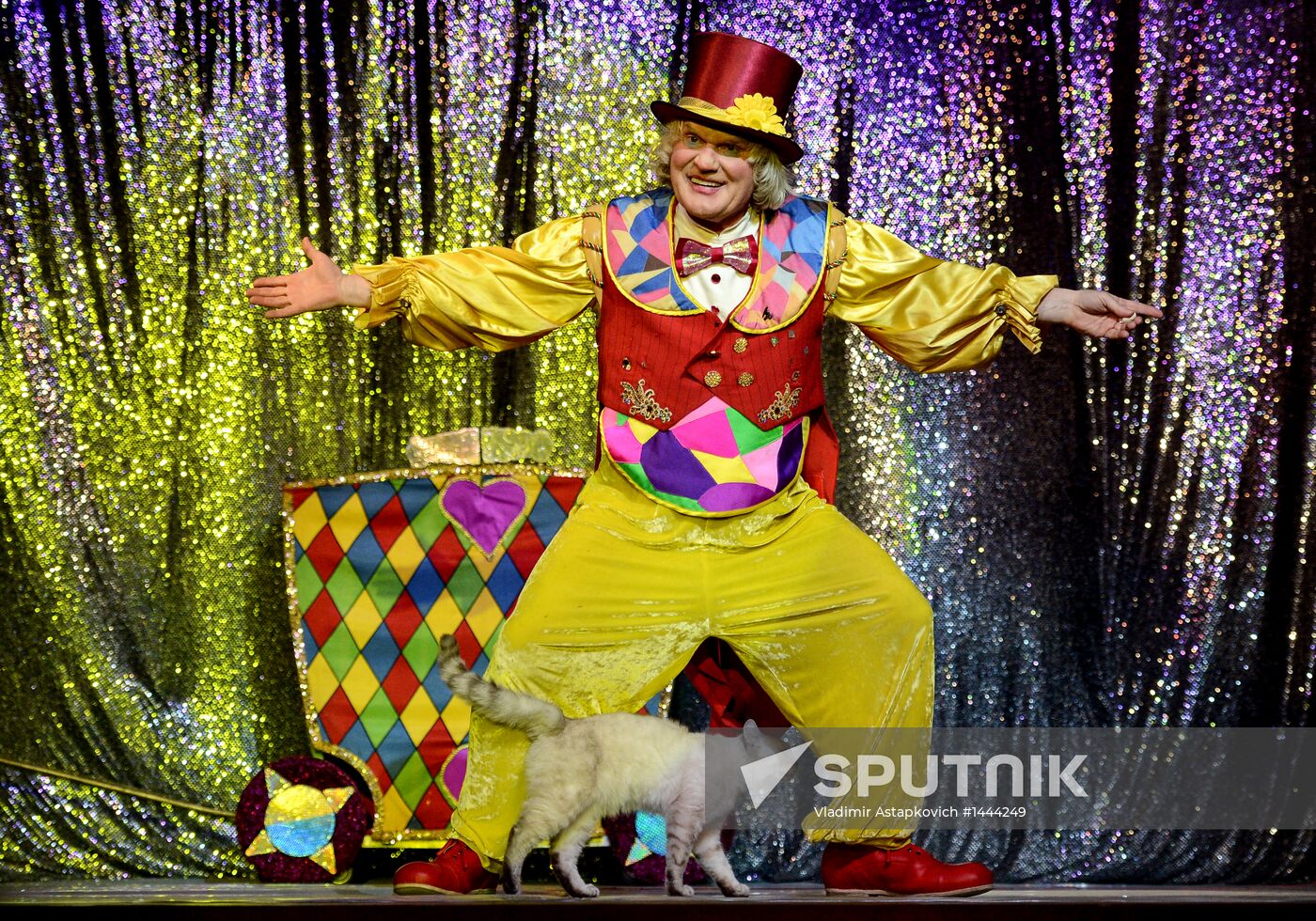 Moscow's Cat Theater reopens after renovation