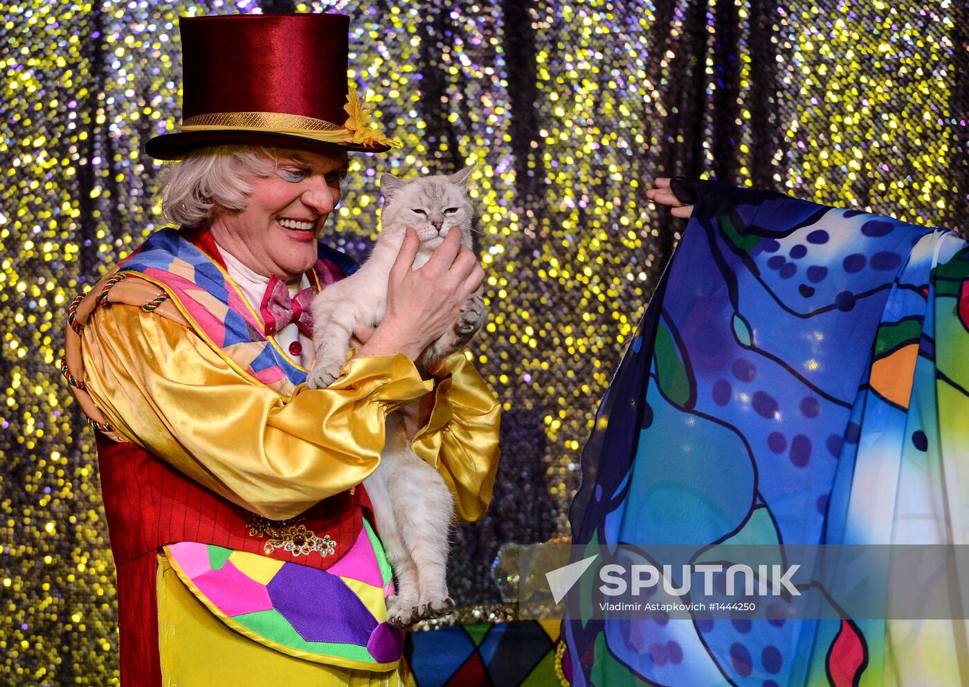 Moscow's Cat Theater reopens after renovation