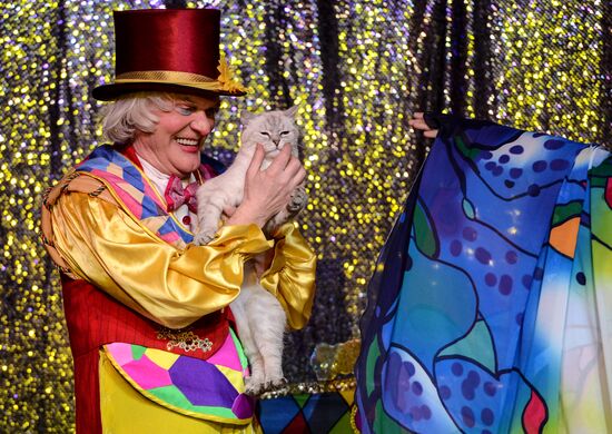 Moscow's Cat Theater reopens after renovation