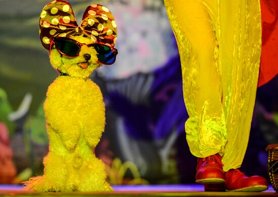 Moscow's Cat Theater reopens after renovation