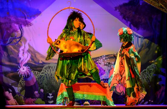 Moscow's Cat Theater reopens after renovation