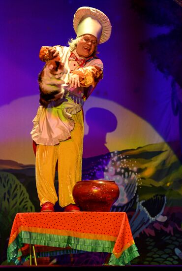Moscow's Cat Theater reopens after renovation
