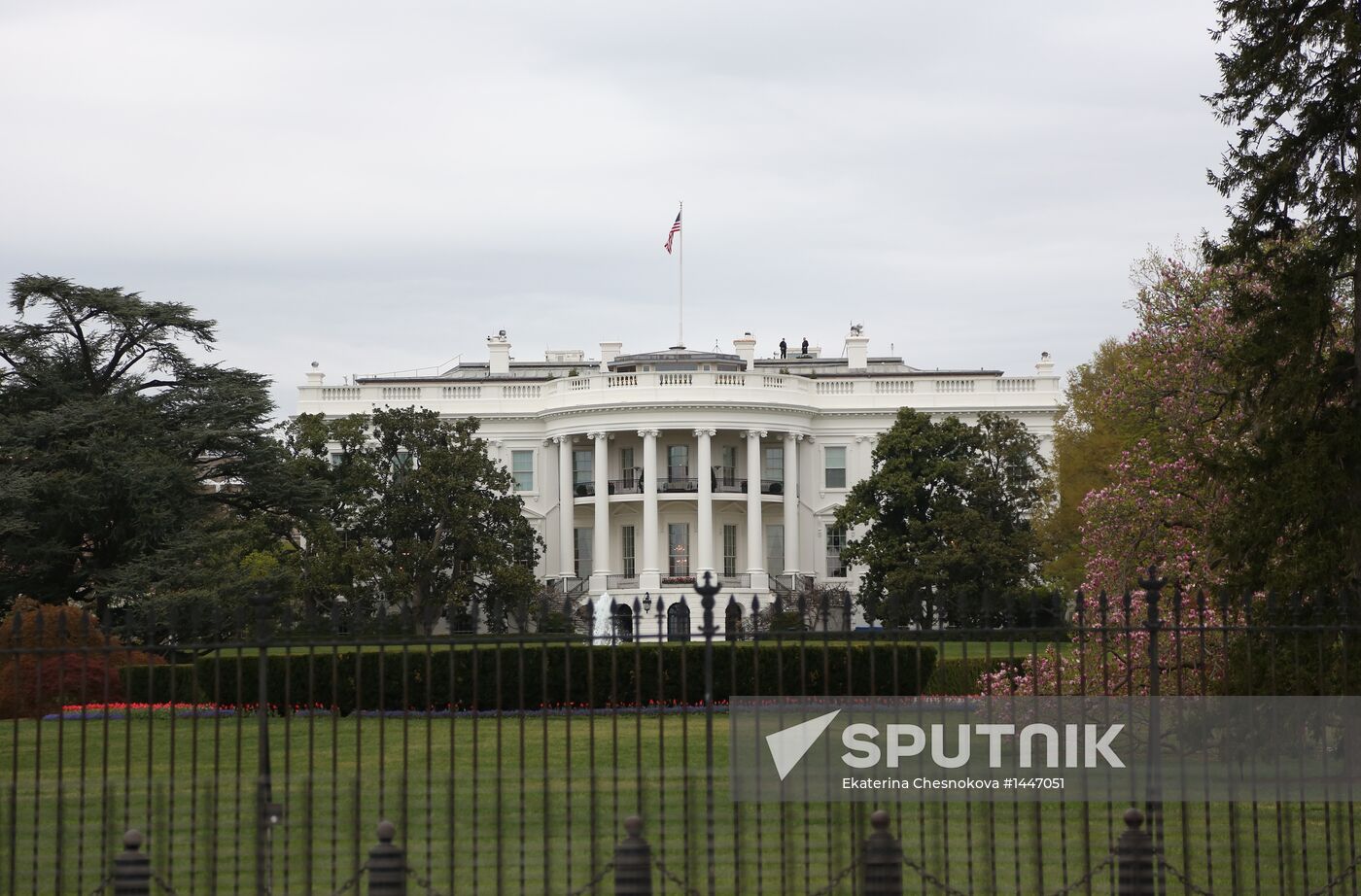 World cities. Washington D.C.