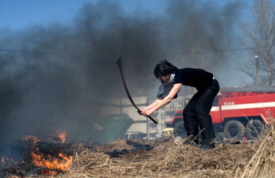Dry grass burning in Novgorod Region