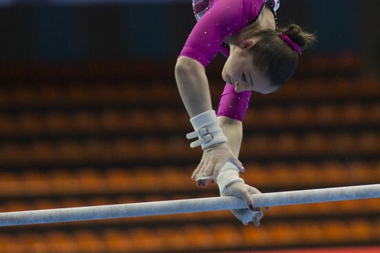 European Artistic Gymnastics Championships: Day Two