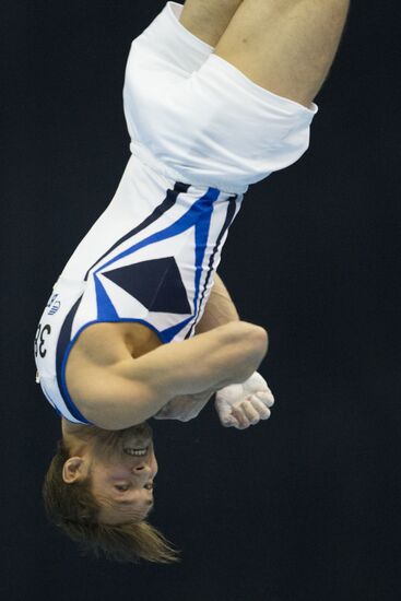 European Artistic Gymnastics Championships: Day Two