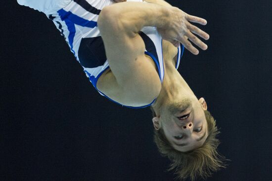European Artistic Gymnastics Championships: Day Two