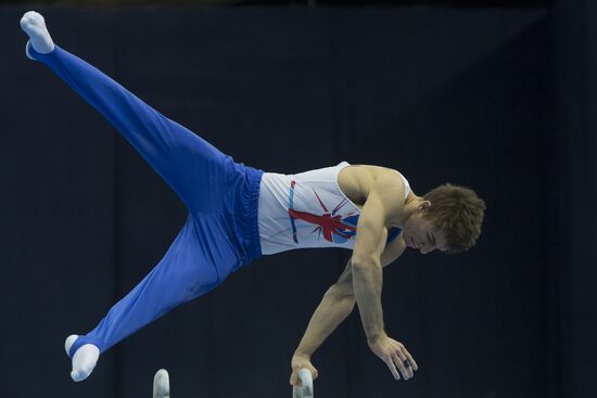 European Artistic Gymnastics Championships: Day Two