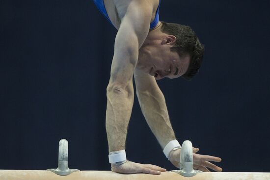 European Artistic Gymnastics Championships: Day Two