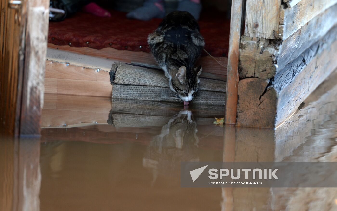 Spring flood in Novgorod Region