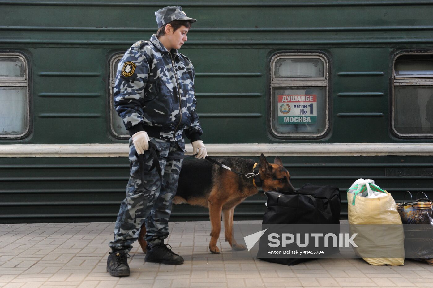 Moscow-Dushanbe train passengers checked on the platform