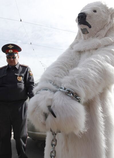 Statoil and Rosneft took polar bears hostage