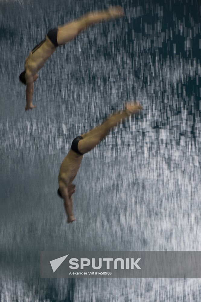 FINA/Midea Diving World Series 2013. Day One