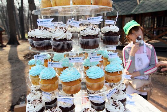 Media subbotnik in Moscow's Neskuchny Garden