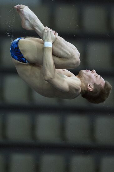 Diving FINA World Series. Day 3